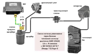 Система улавливания паров бензина (СУПБ) двигателя 11183