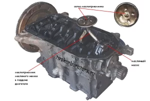 Вот это сетка маслозаборника, она засорена (забита)