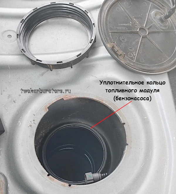 Уплотнительное кольцо под бензонасос Рено Логан